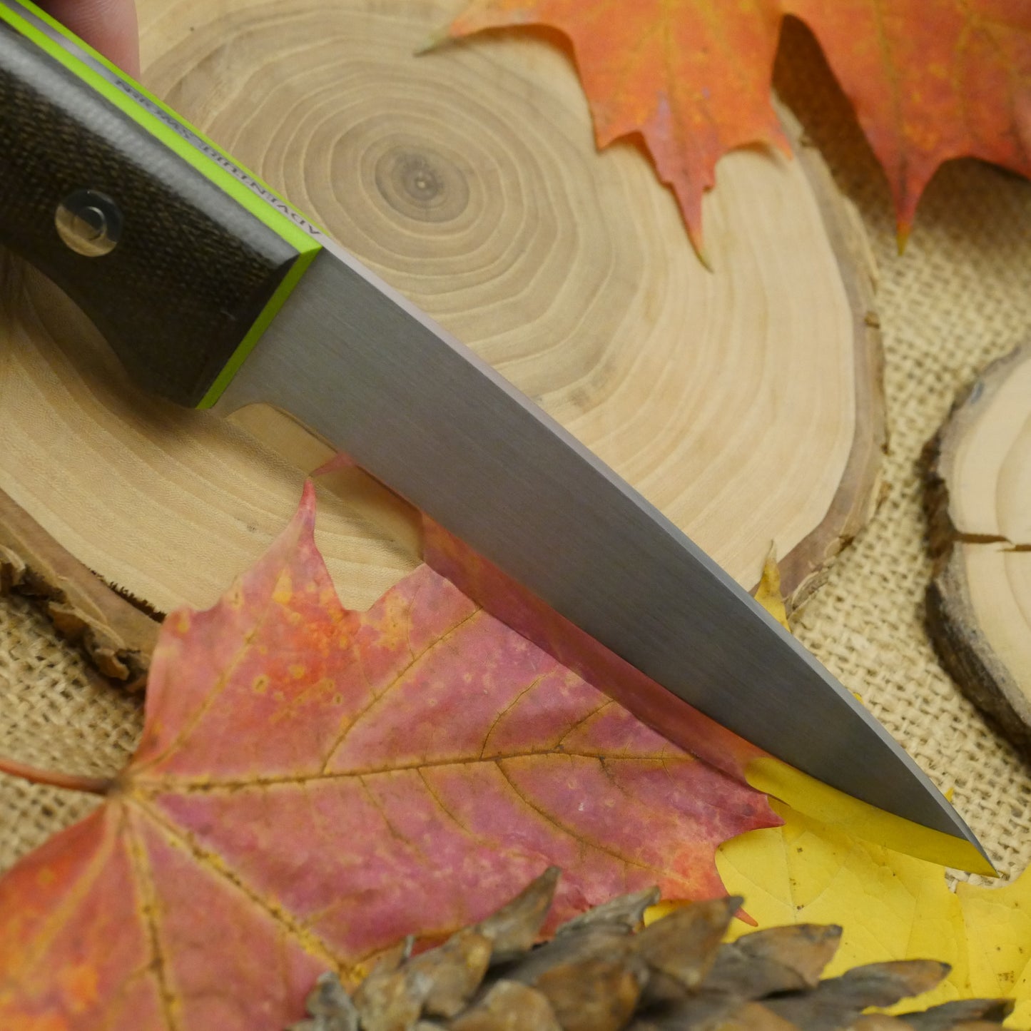 Mountaineer: Green Canvas & Toxic Green