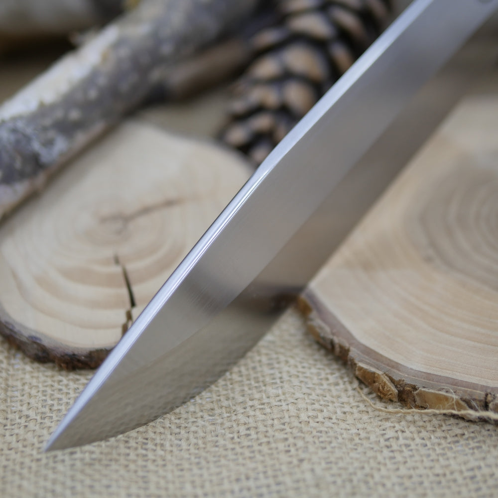 Scout: 3V, Stabilized Buckeye Burl