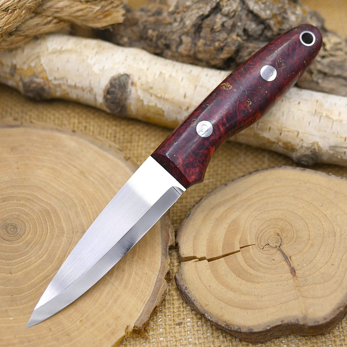 Wayfarer: Red Box Elder Burl