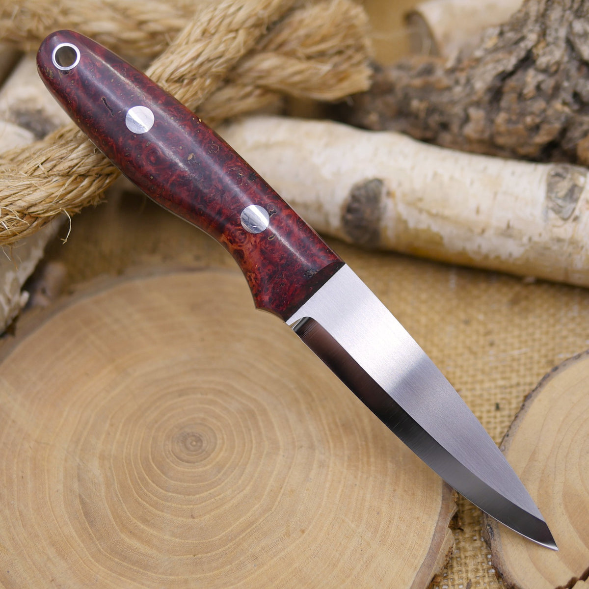 Wayfarer: Red Box Elder Burl