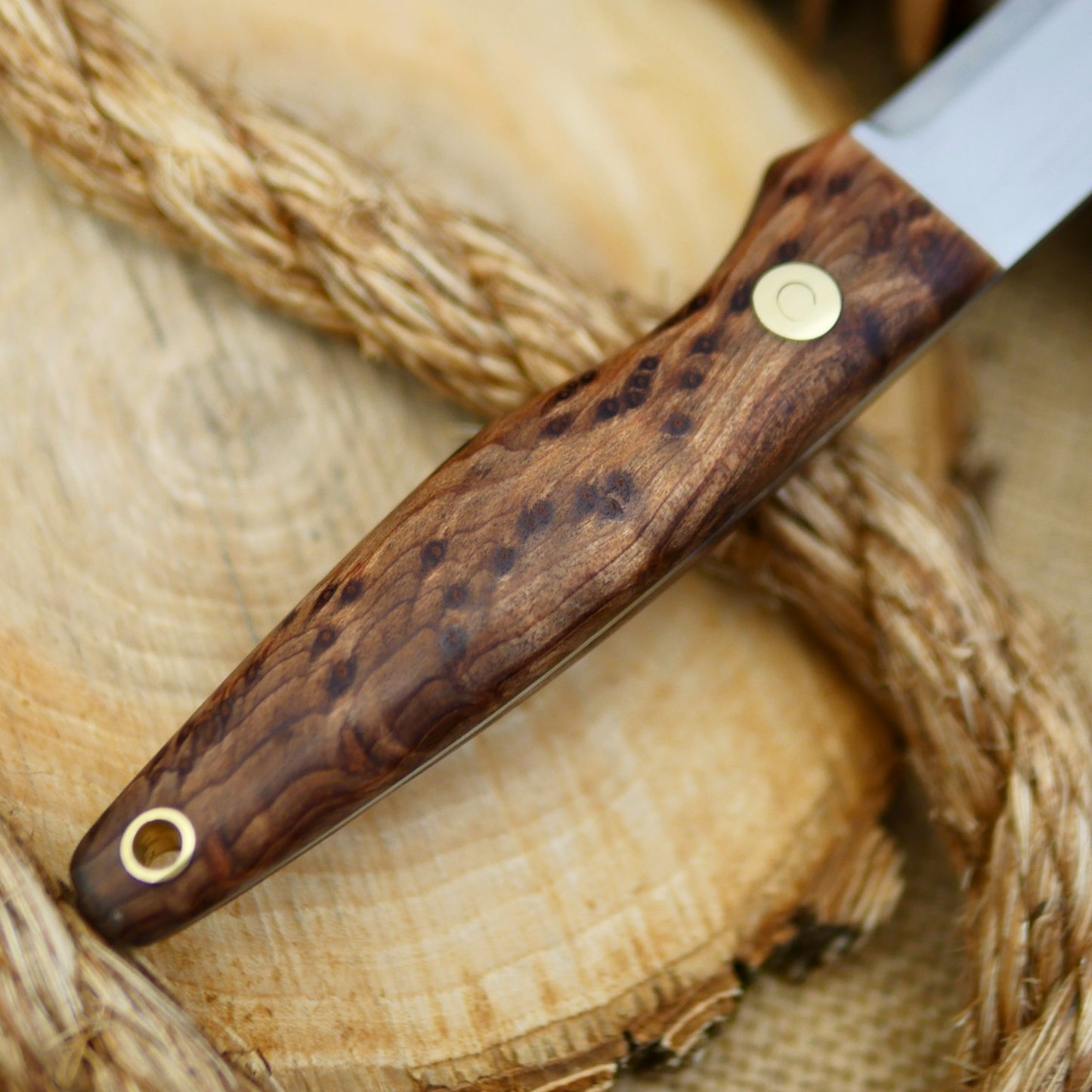 Hiker: Redwood Burl & Taper - Adventure Sworn Bushcraft Co.