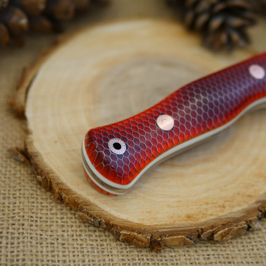 Explorer: Orange C-Tek & Ivory G10 - Adventure Sworn Bushcraft Co.