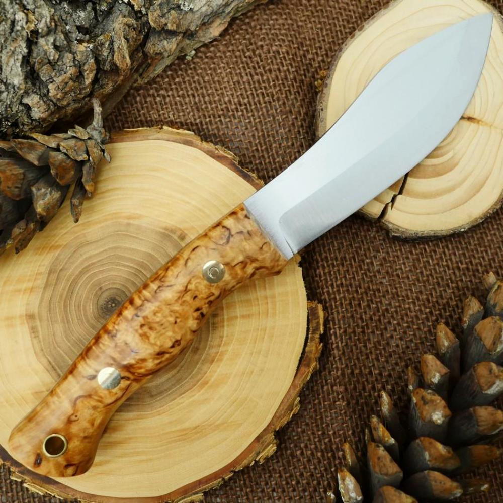 Guide #1: Karelian Birch & Brown - Adventure Sworn Bushcraft Co.