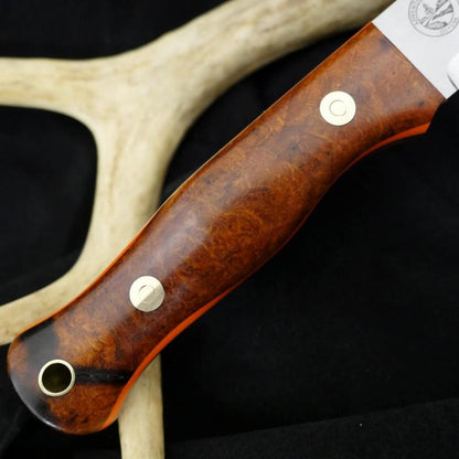 Mountaineer: Ironwood Burl & Orange G10