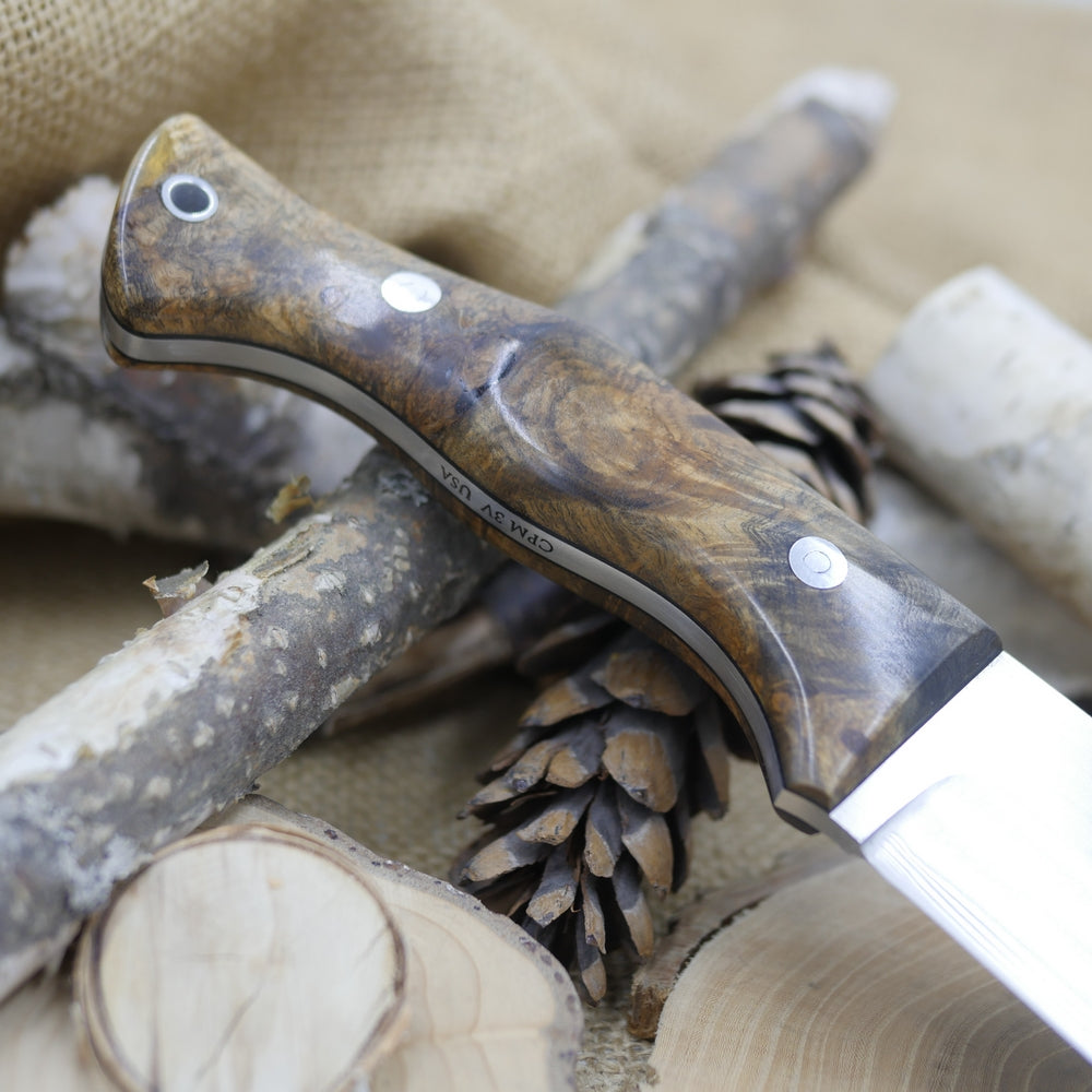 Scout: 3V, Stabilized Buckeye Burl