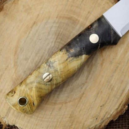 In Stock Voyageur: Buckeye Burl & Red - Adventure Sworn Bushcraft Co.