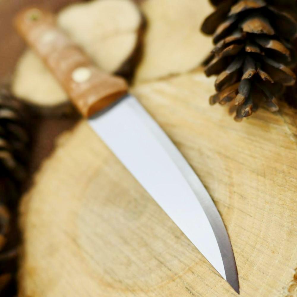 Voyageur: Birdseye Maple