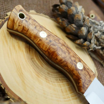 Guide #3: Karelian Birch & Brown - Adventure Sworn Bushcraft Co.