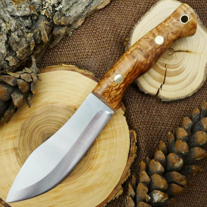 Guide #3: Karelian Birch & Brown - Adventure Sworn Bushcraft Co.