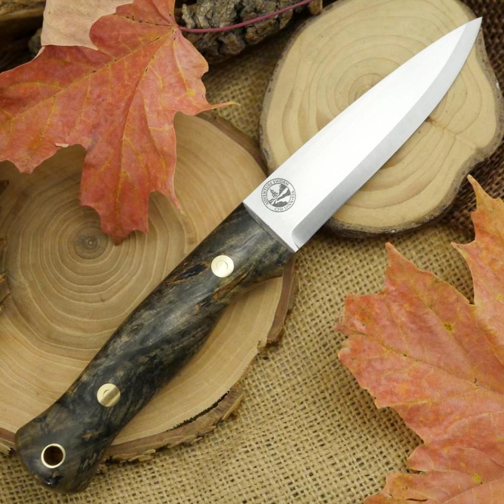 Mountaineer: Buckeye Burl & Red