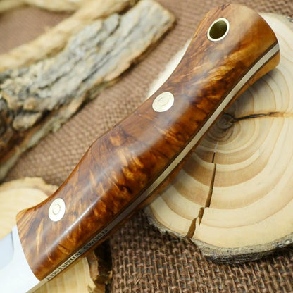 Guide #4: Karelian Birch & Brown - Adventure Sworn Bushcraft Co.