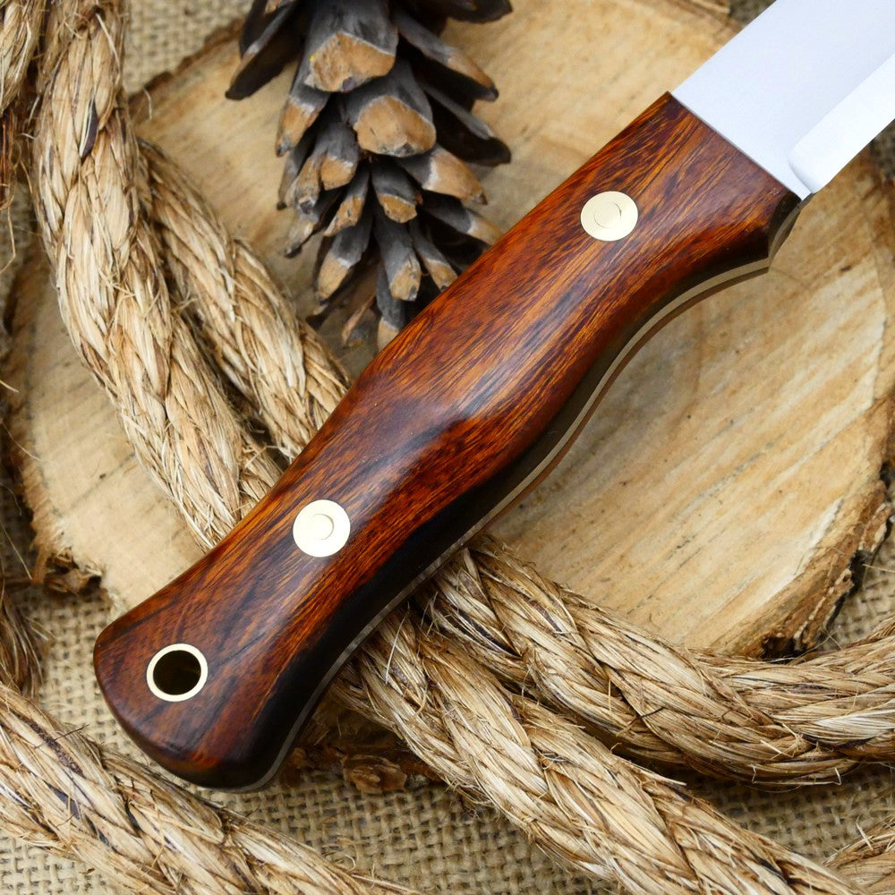 Mountaineer: Desert Ironwood