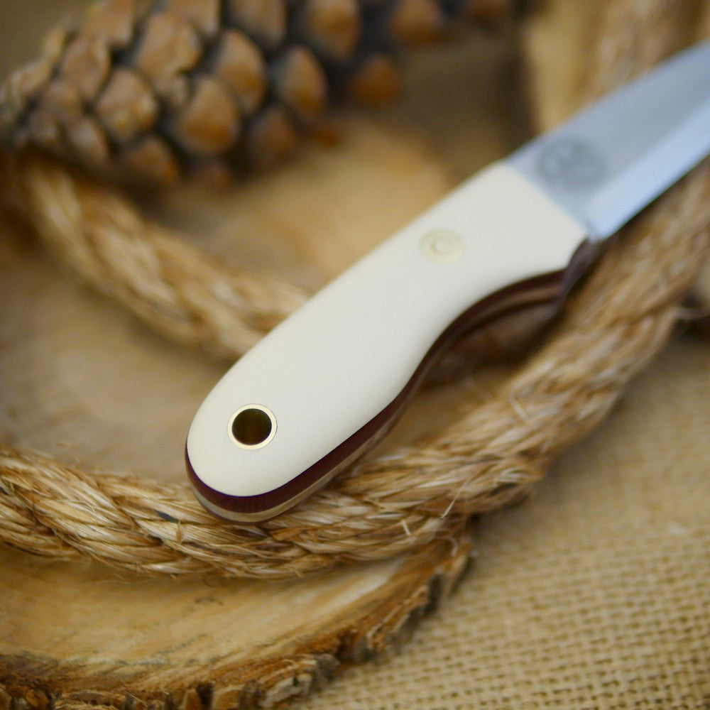 Walker: Ivory Paper & Maroon Canvas